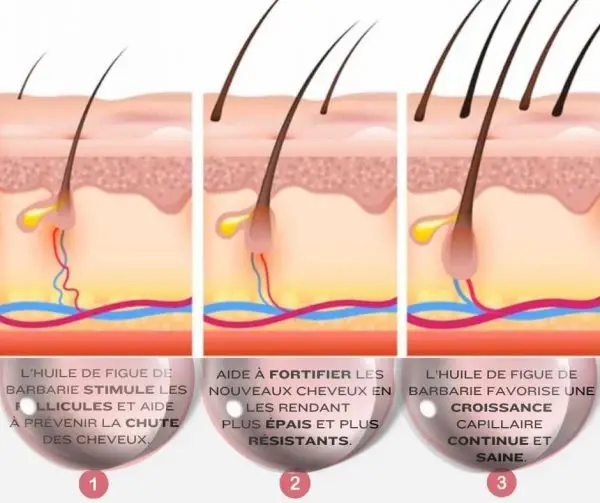 KIT SHAMPOING  + MASQUE HYDRATANT – Image 3